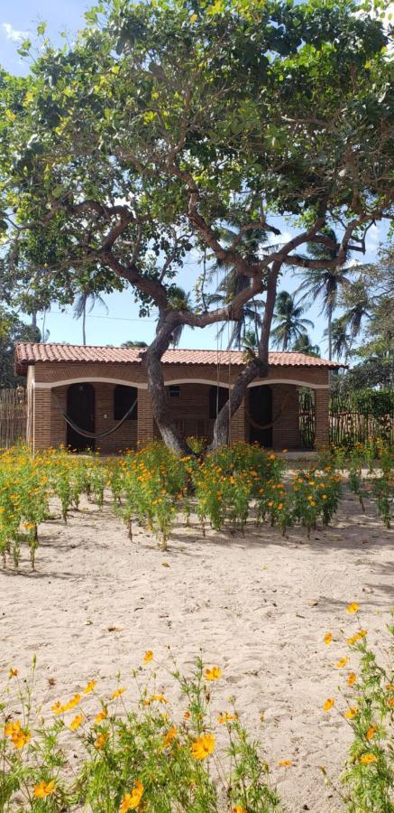 Pousada Vila Mangue Seco Jijoca de Jericoacoara Exterior foto
